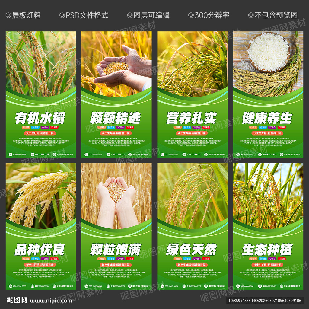 水稻