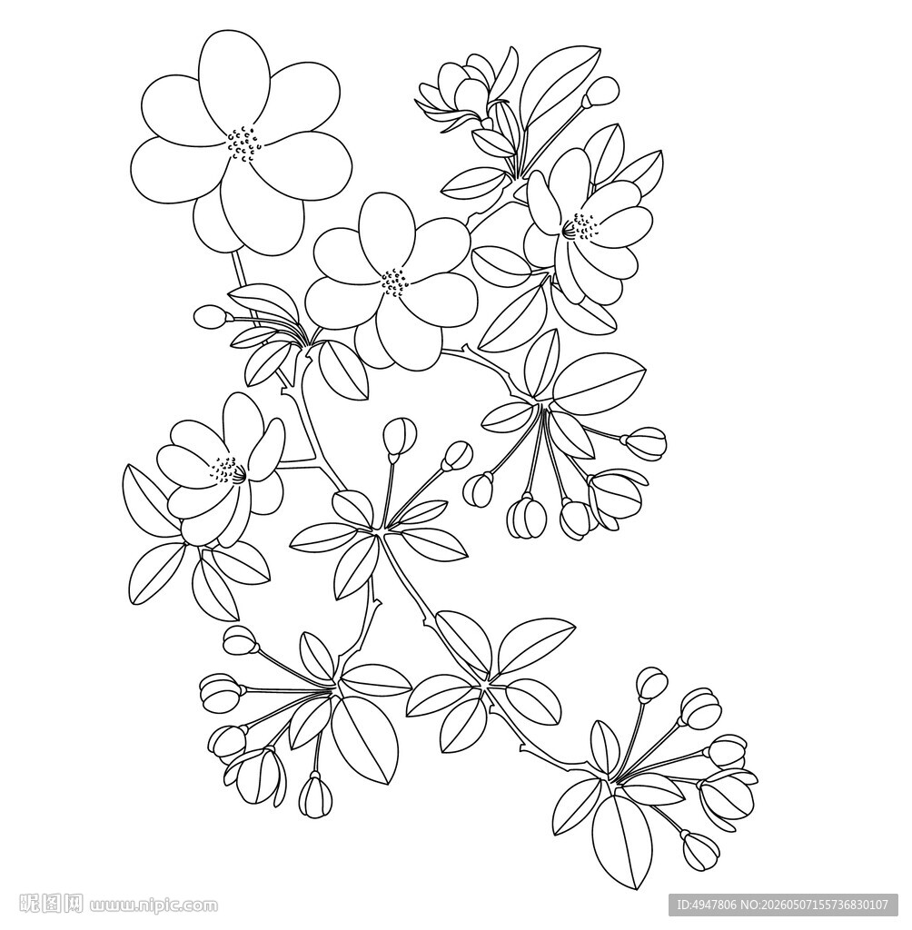 花卉线条图 简约植物 矢量图