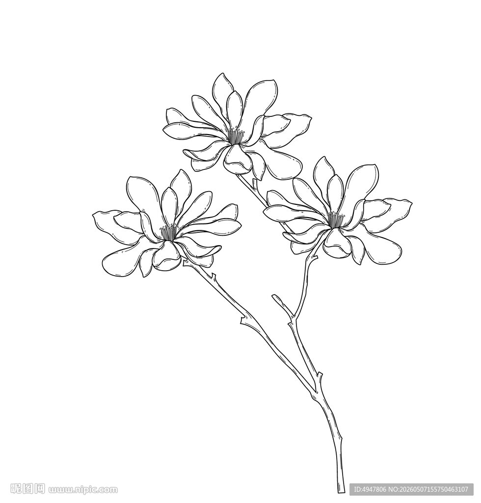 手绘简约花朵线条图 矢量图
