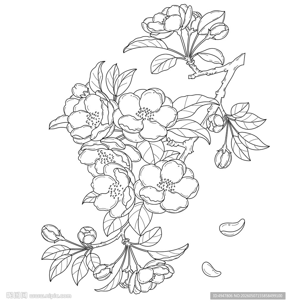 手绘花卉线条图 矢量图