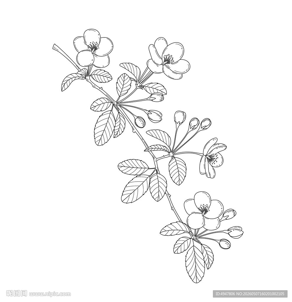 手绘花卉线条图案 矢量图