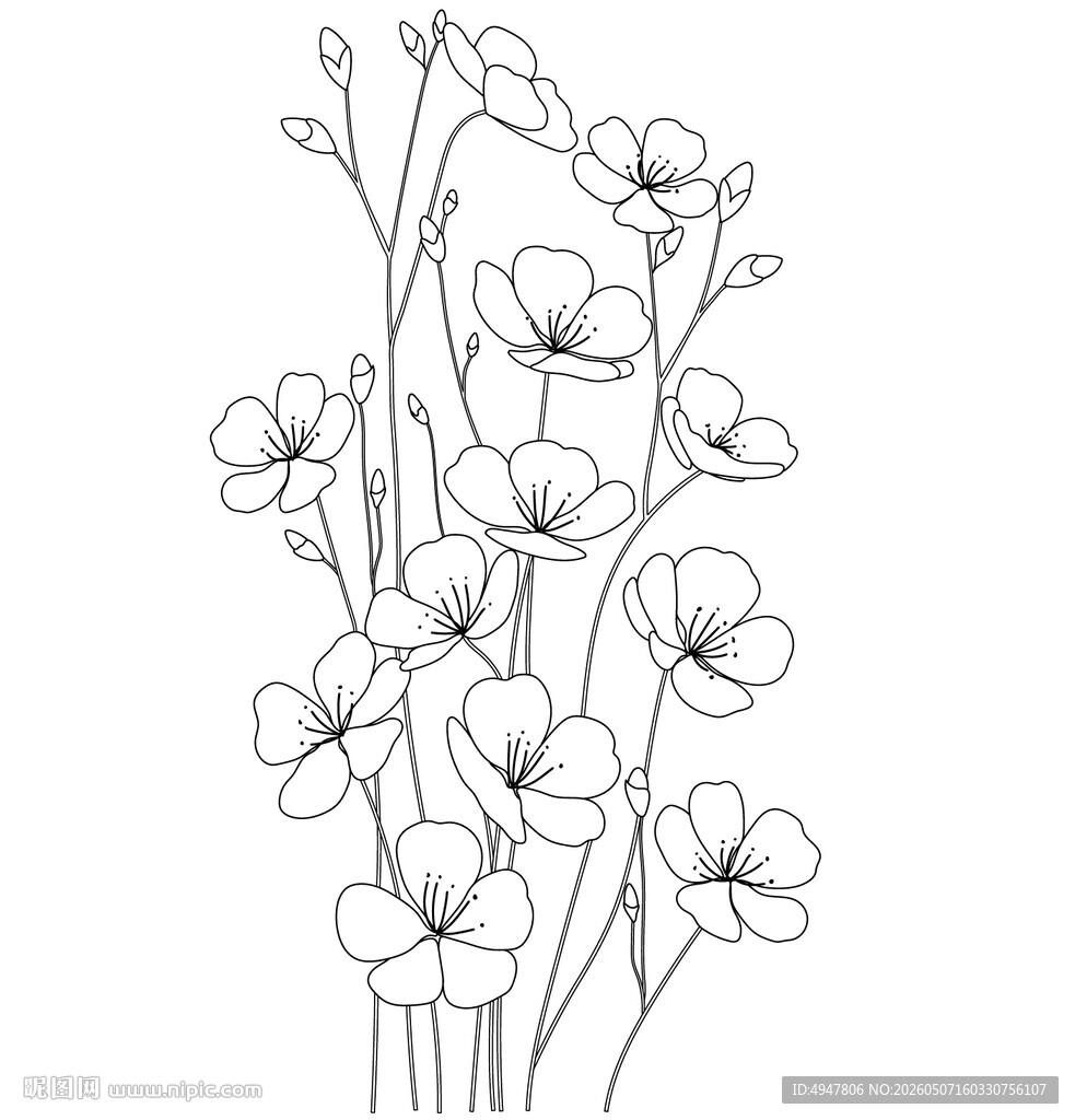 手绘简约花卉线条插画 矢量图