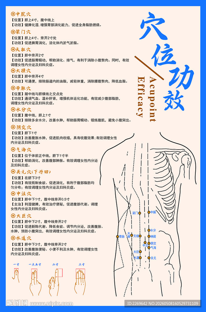 穴位功效图展示