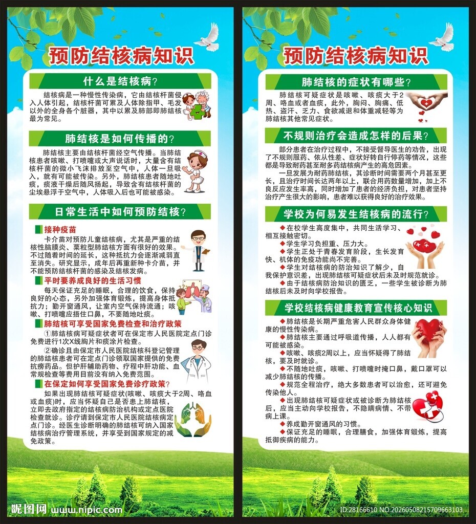 预防结核病知识展架