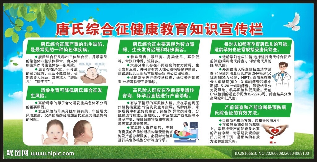 世界唐氏综合征日宣传栏