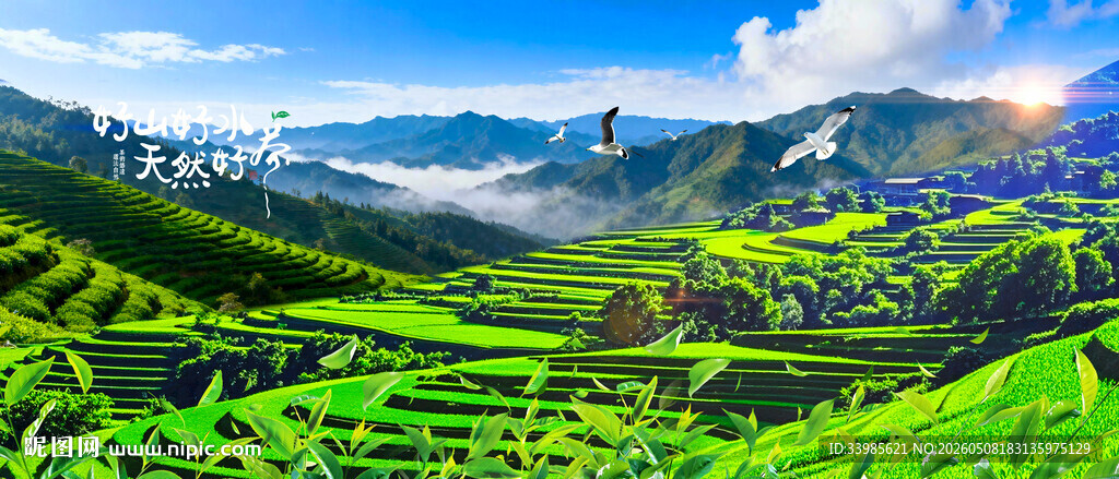 茶山梯田