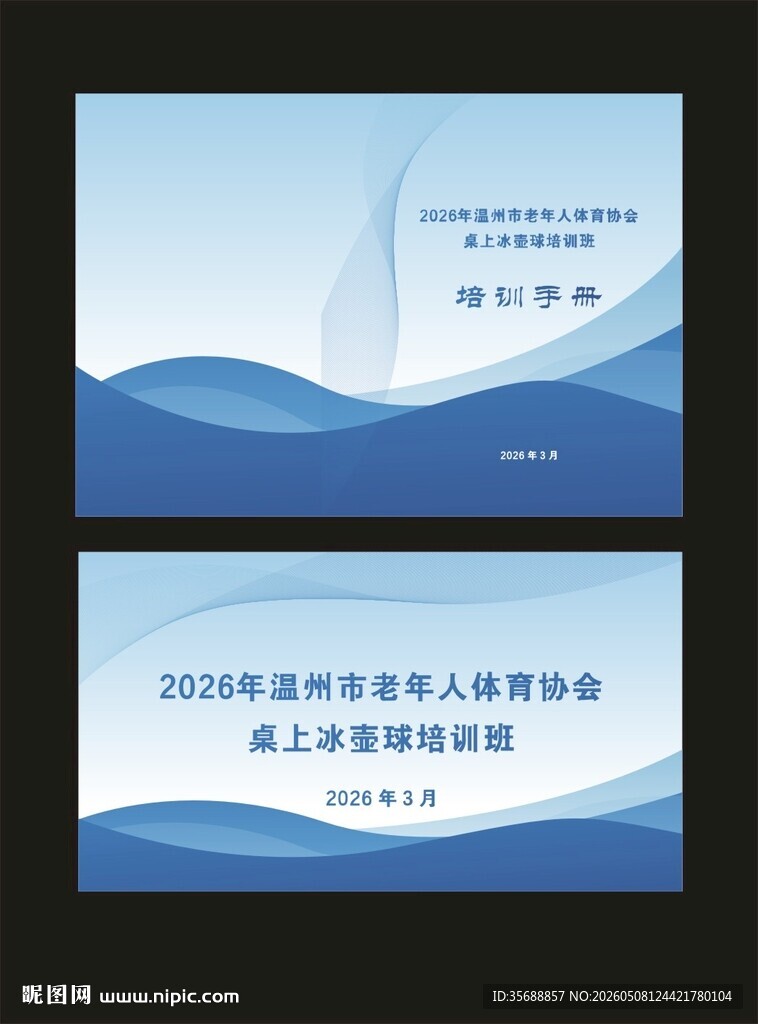 桌上冰壶球 
