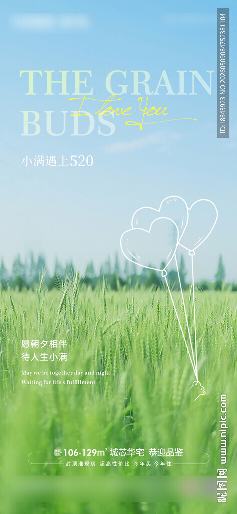 小满节气海报
