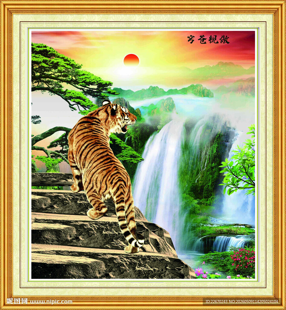 傲视苍穹