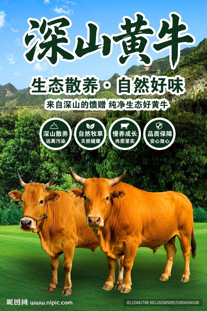 黄牛海报