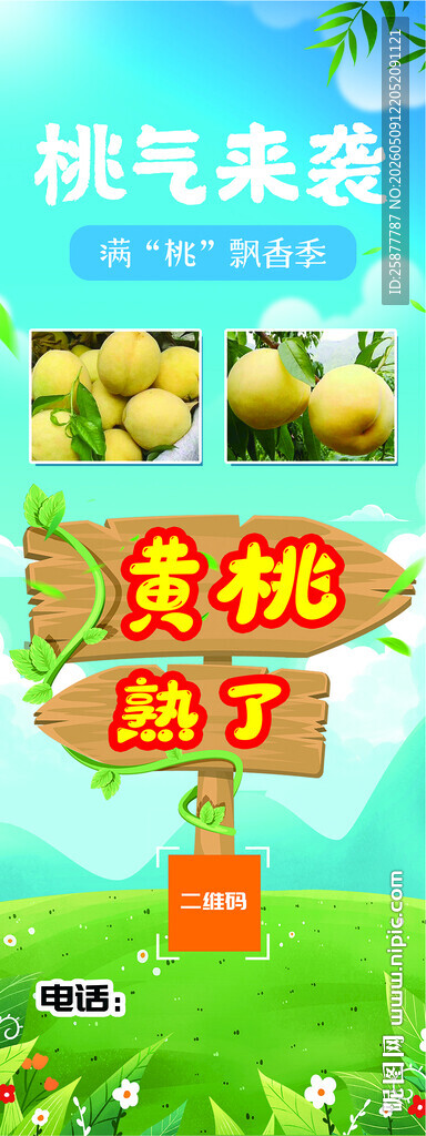 黄桃展架