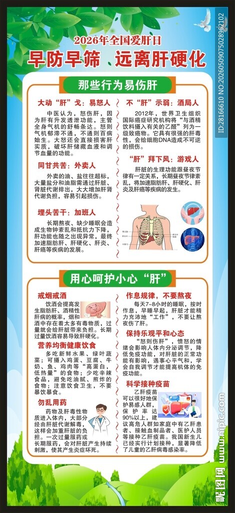 全国爱肝日展架