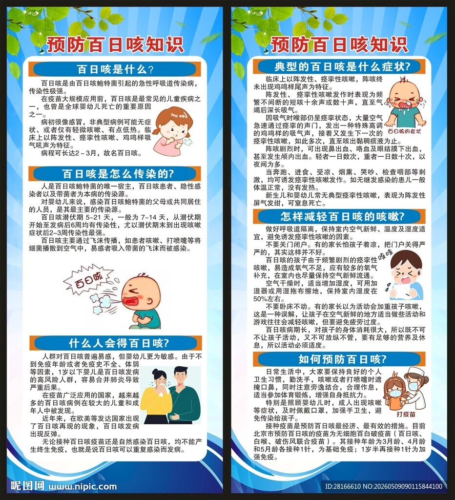 预防百日咳知识展架