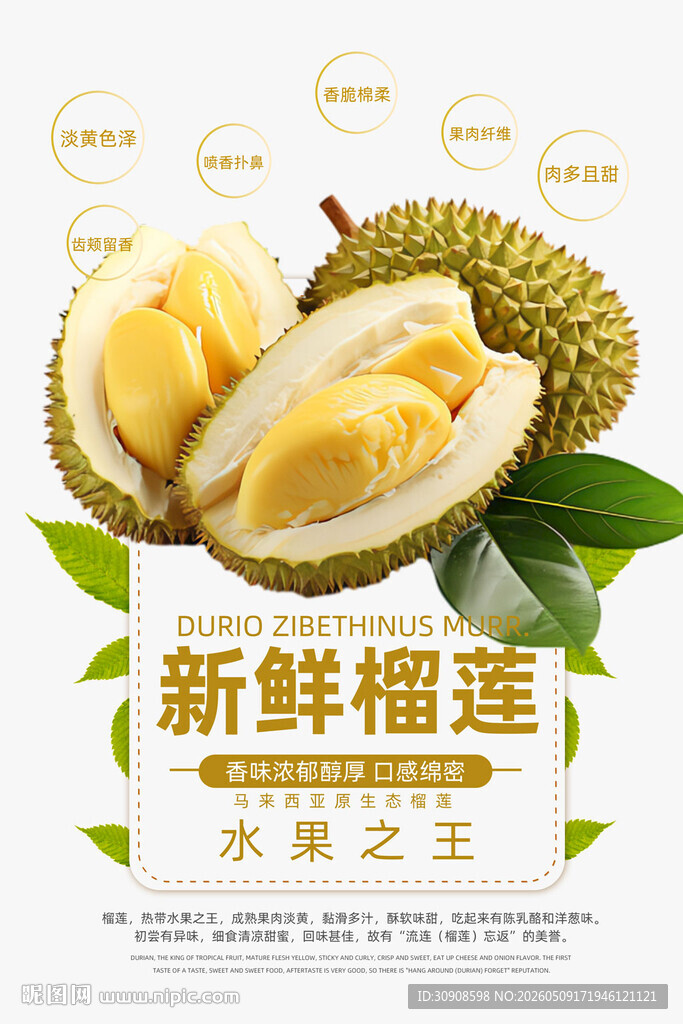 榴莲