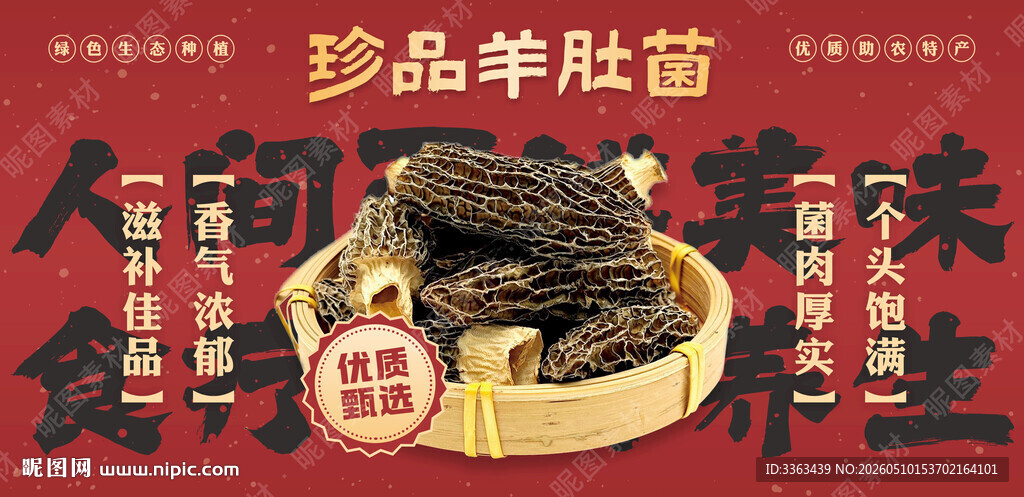 羊肚菌宣传