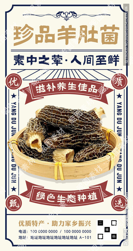 羊肚菌海报