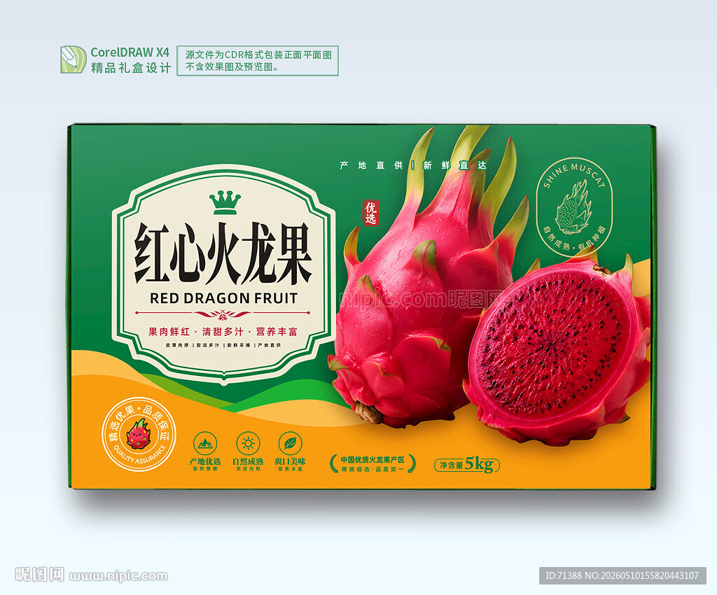 火龙果包装 水果礼盒