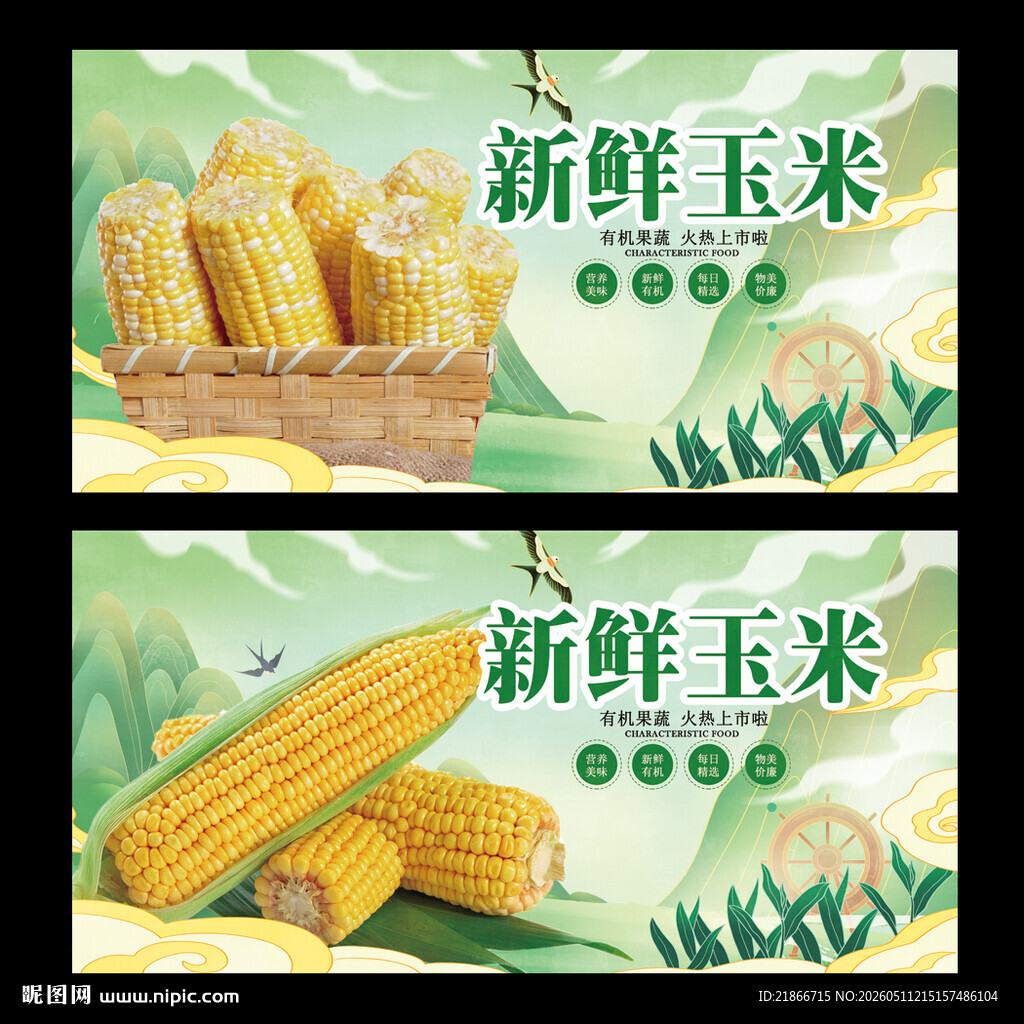玉米