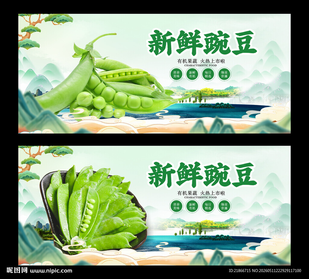 豌豆