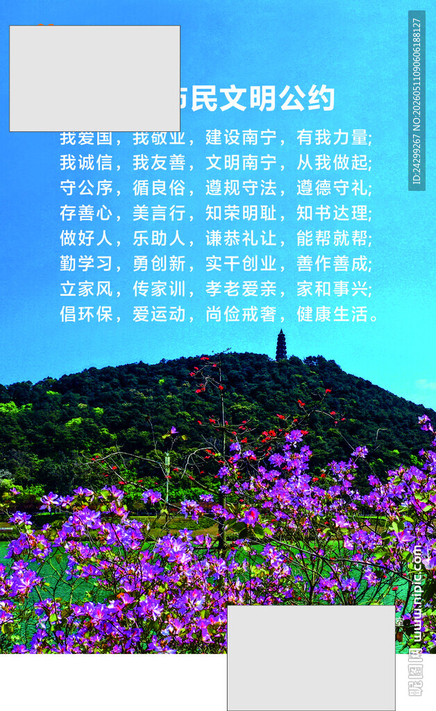 山坡烂漫紫花绽放美景