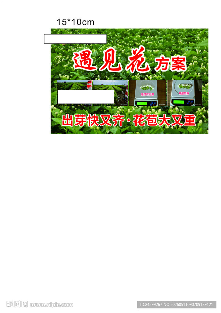 遇见花基地