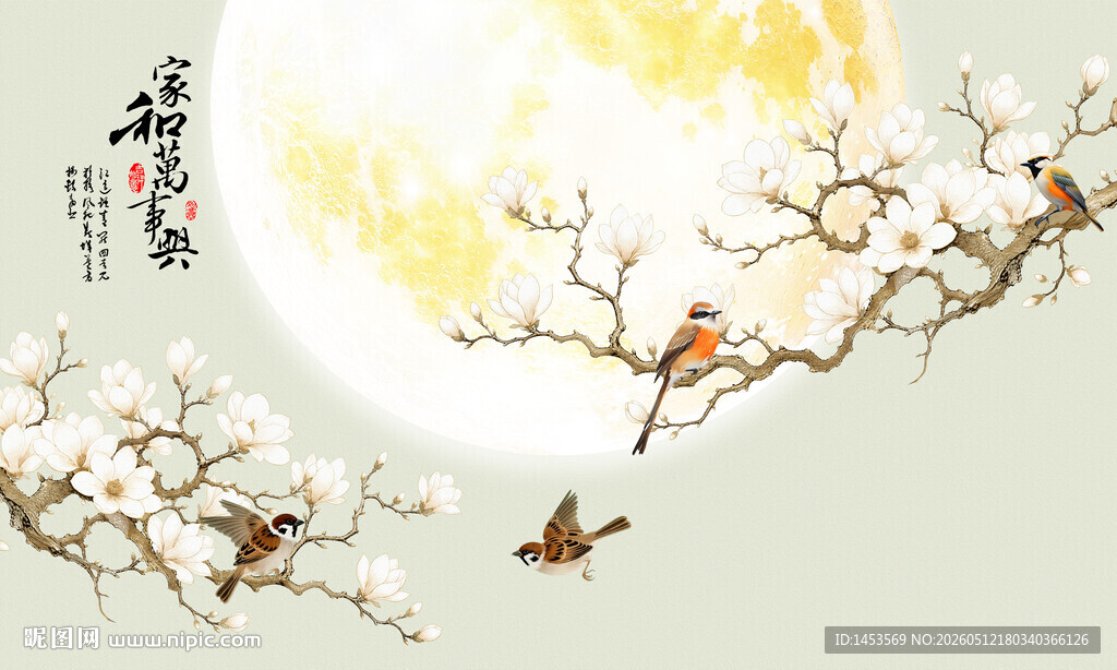 玉兰花