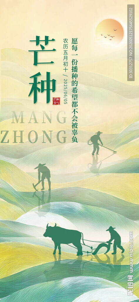 芒种时节田园农耕图景