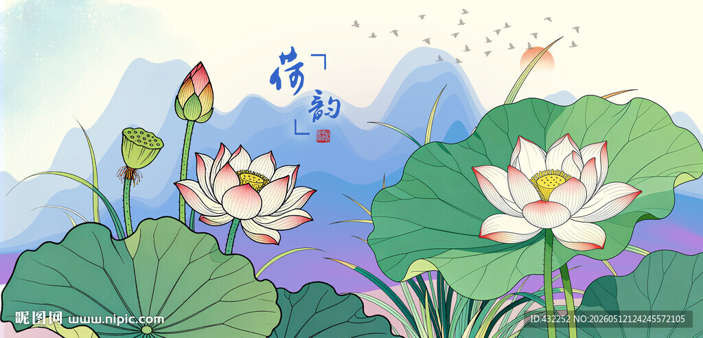 莲花夏日荷塘荷花美景