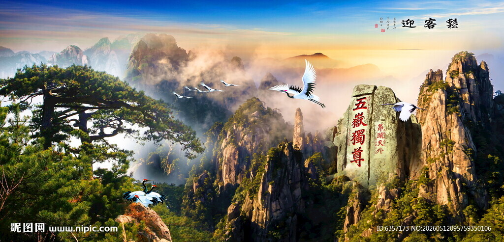 泰山迎客松