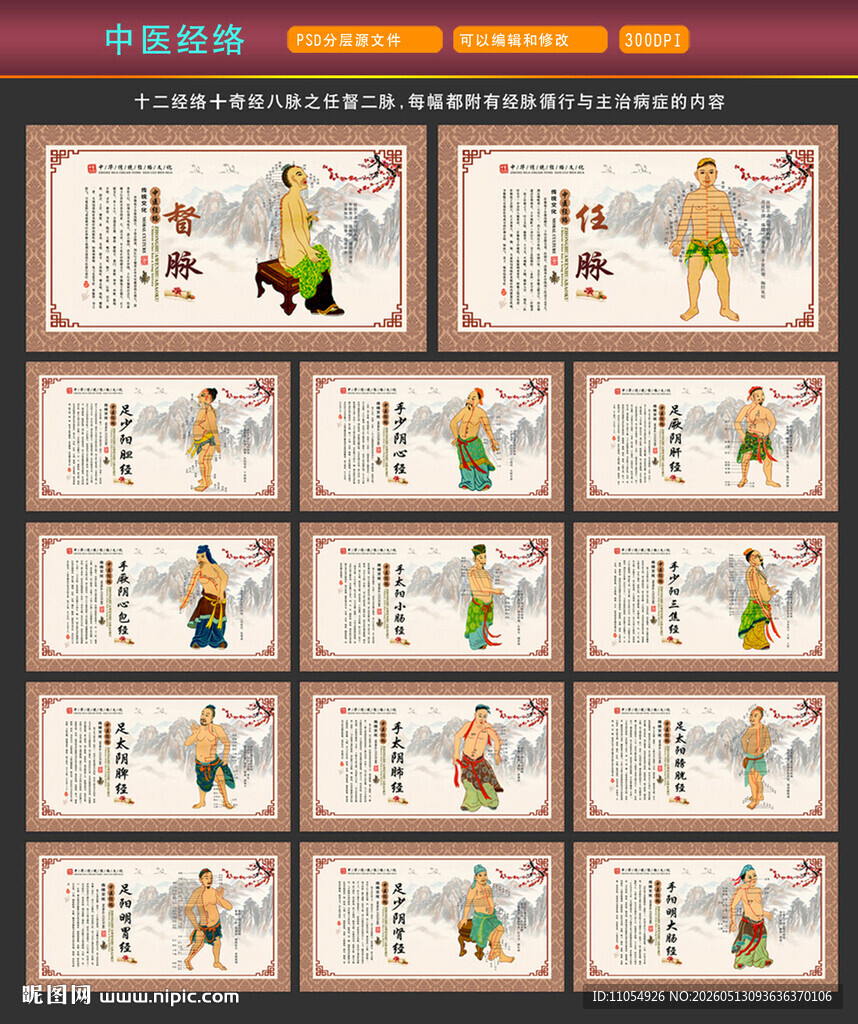 中医经络