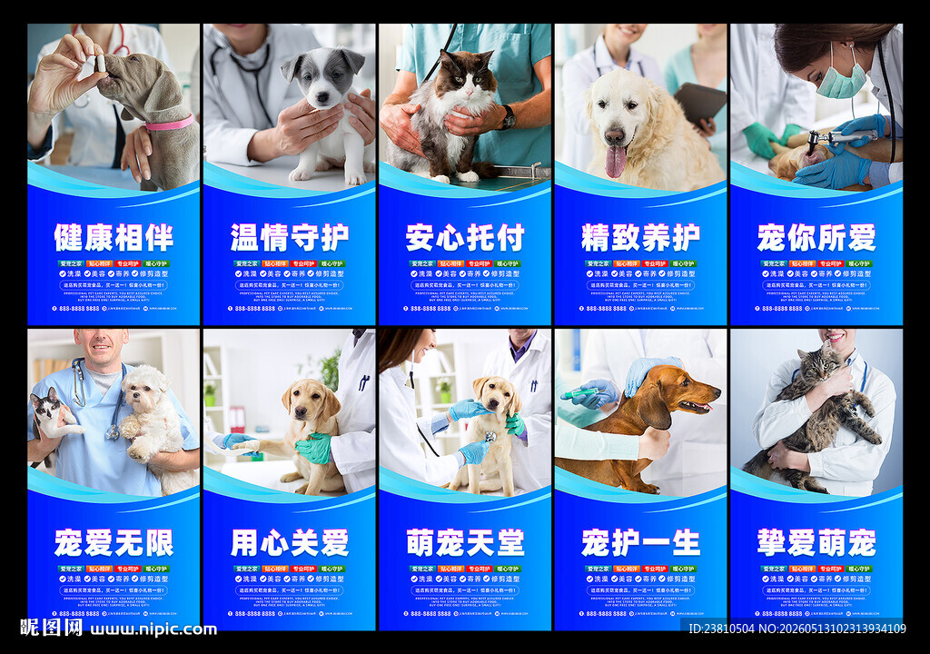 宠物医院海报