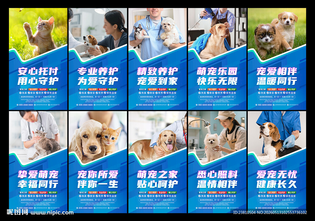 宠物寄养