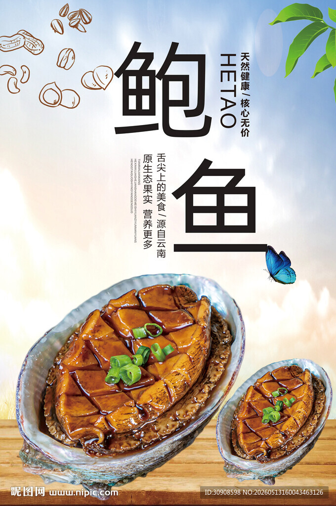 鲍鱼
