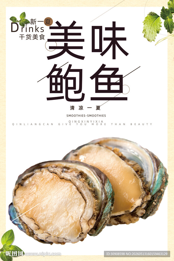 鲍鱼