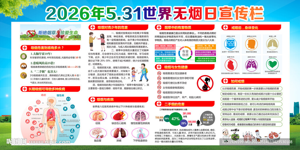 2026年世界无烟日宣传栏