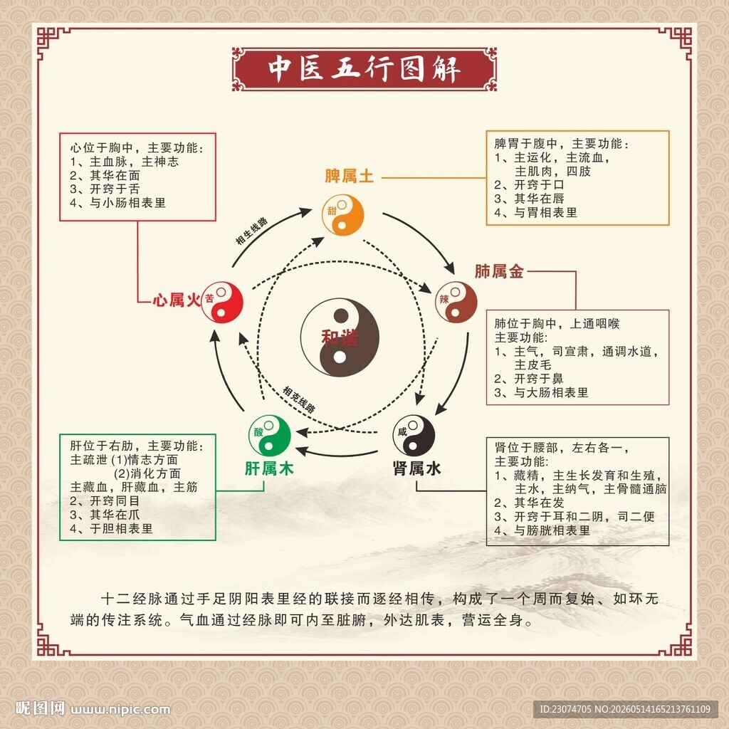 中医五行图