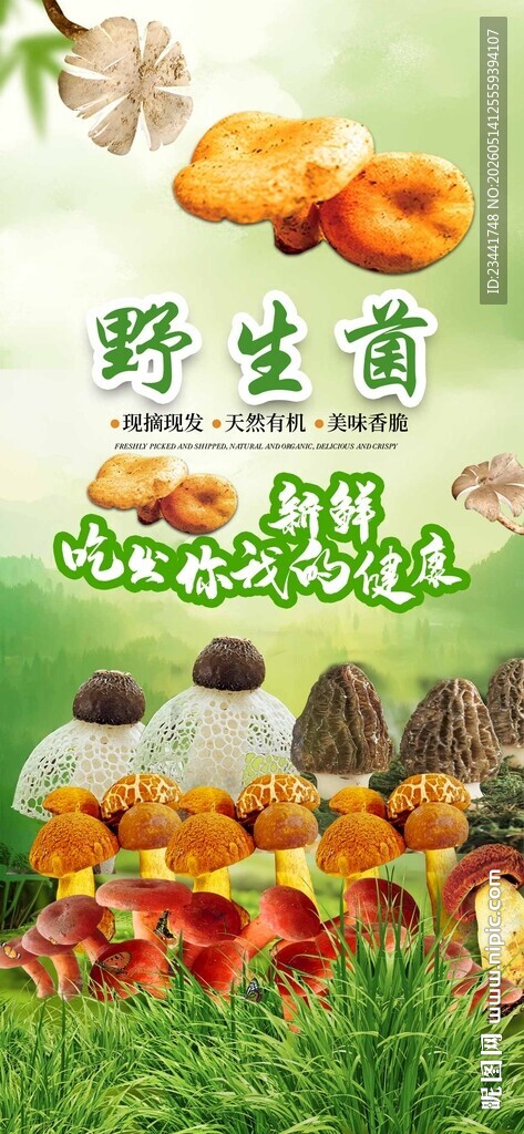 野生菌