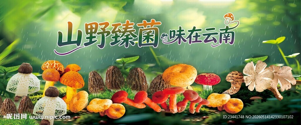野生菌广告