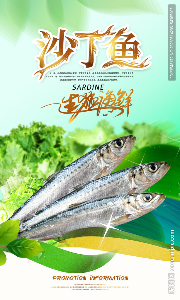 沙丁鱼