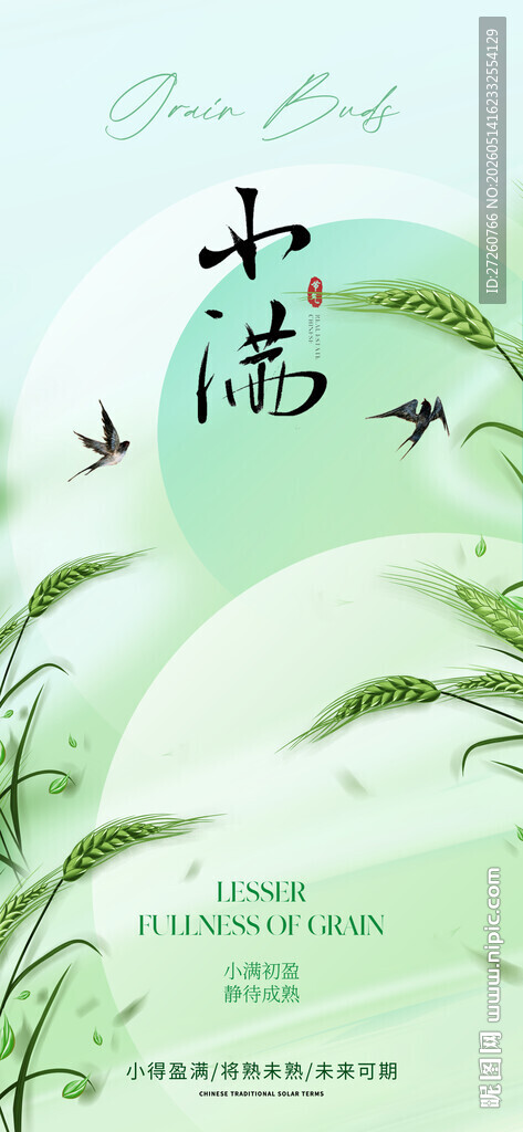 小满节气海报