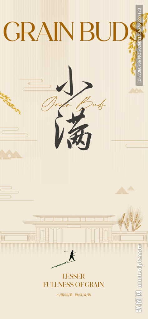 小满节气海报