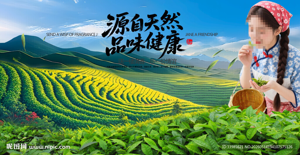 采茶