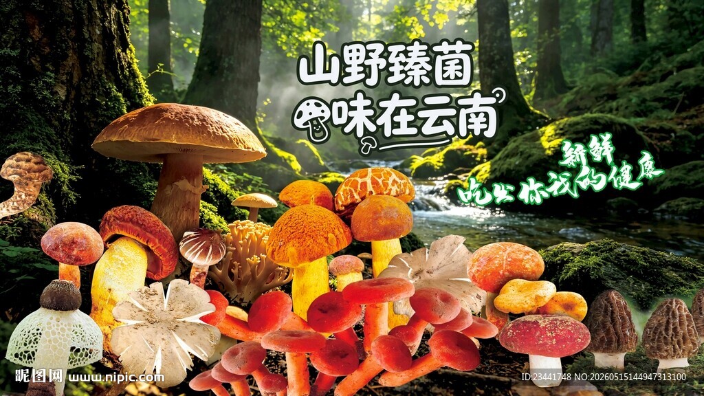 野生菌广告