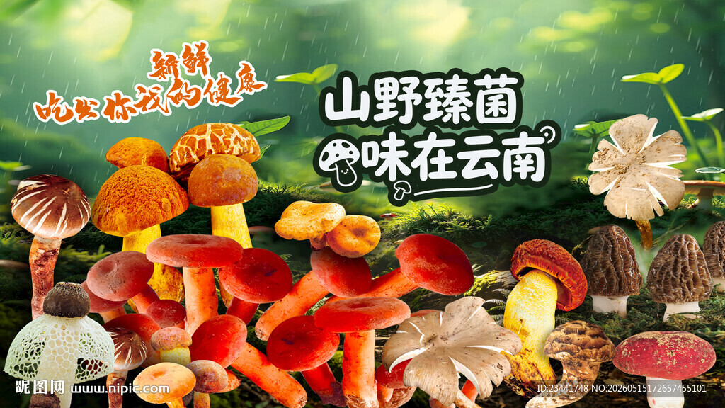 野生菌