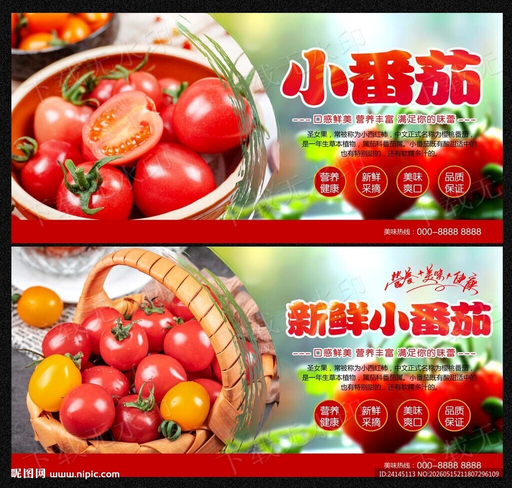 小番茄