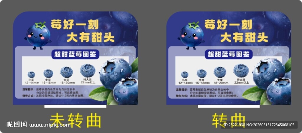 蓝莓店教
