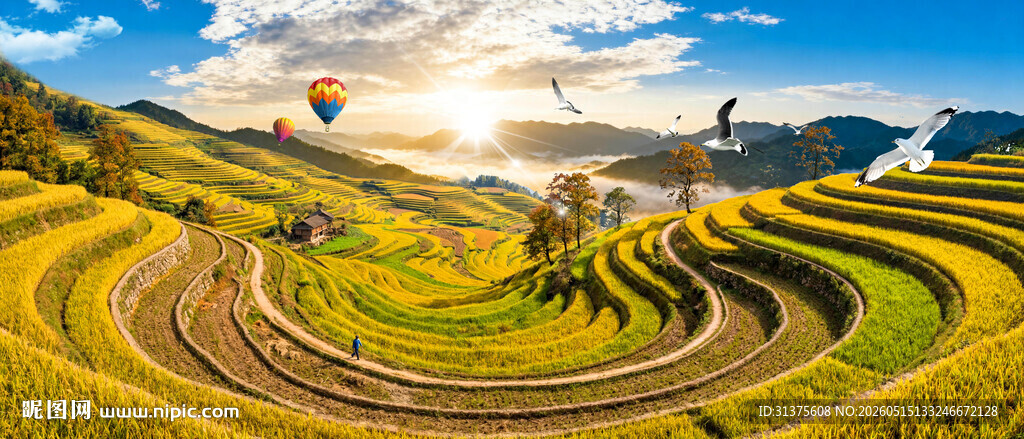 梯田风景画