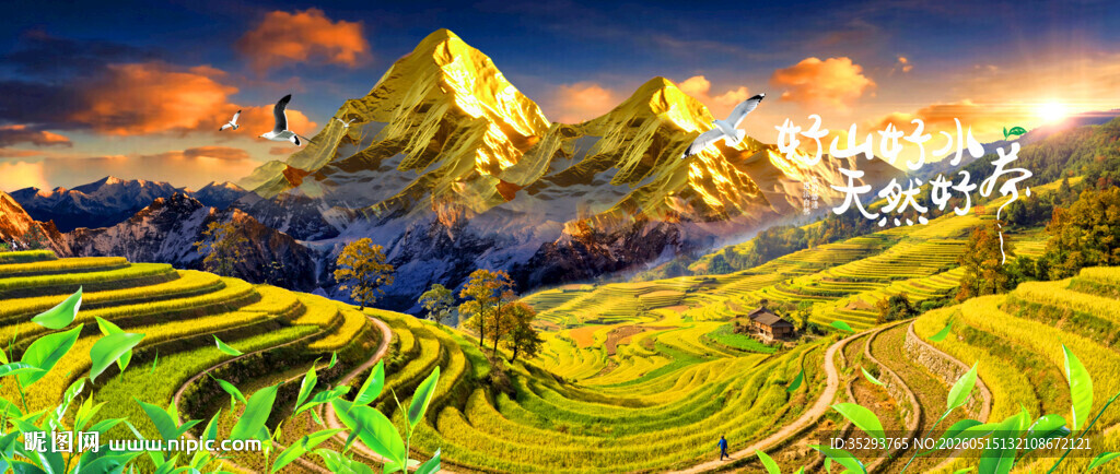 金山 梯田