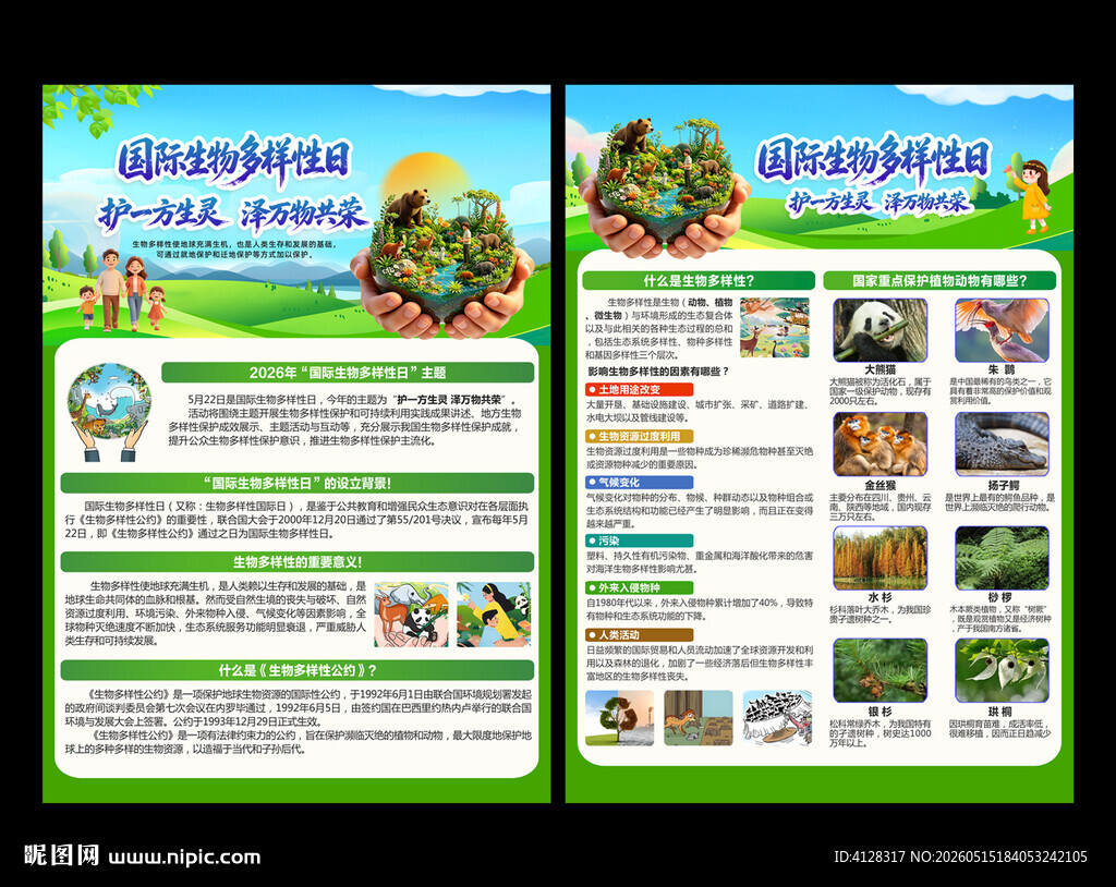 国际生物多样性日宣传单