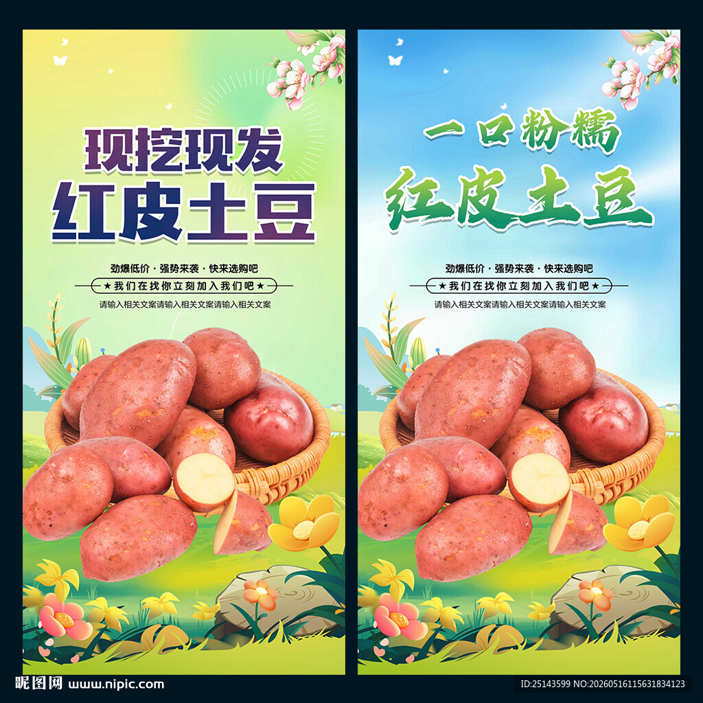 红皮土豆